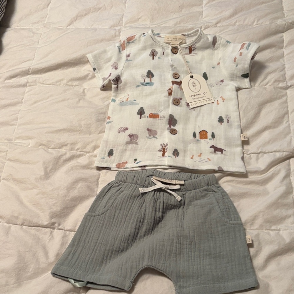 Elegant Baby short set